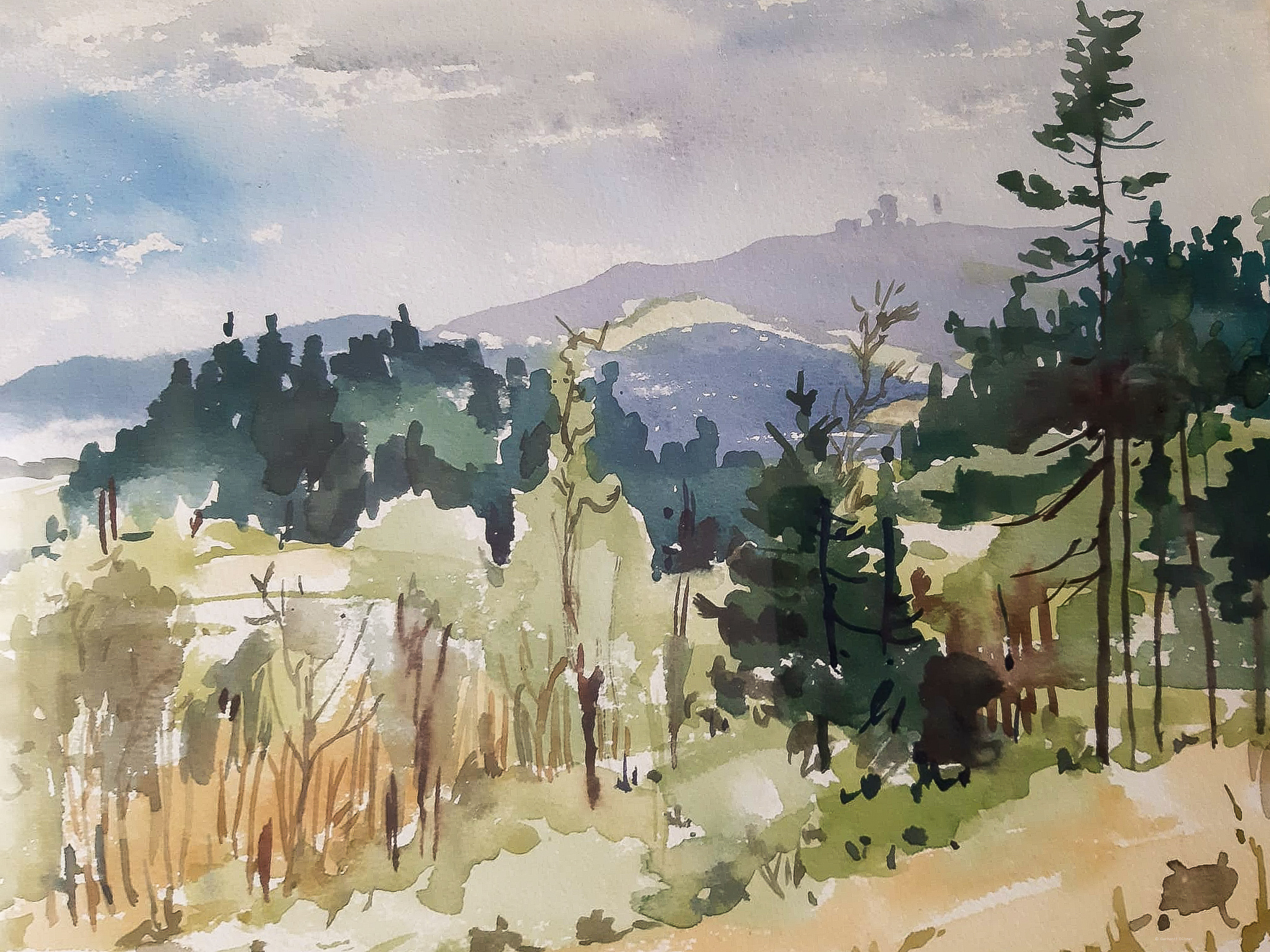 Inselsbergblick
