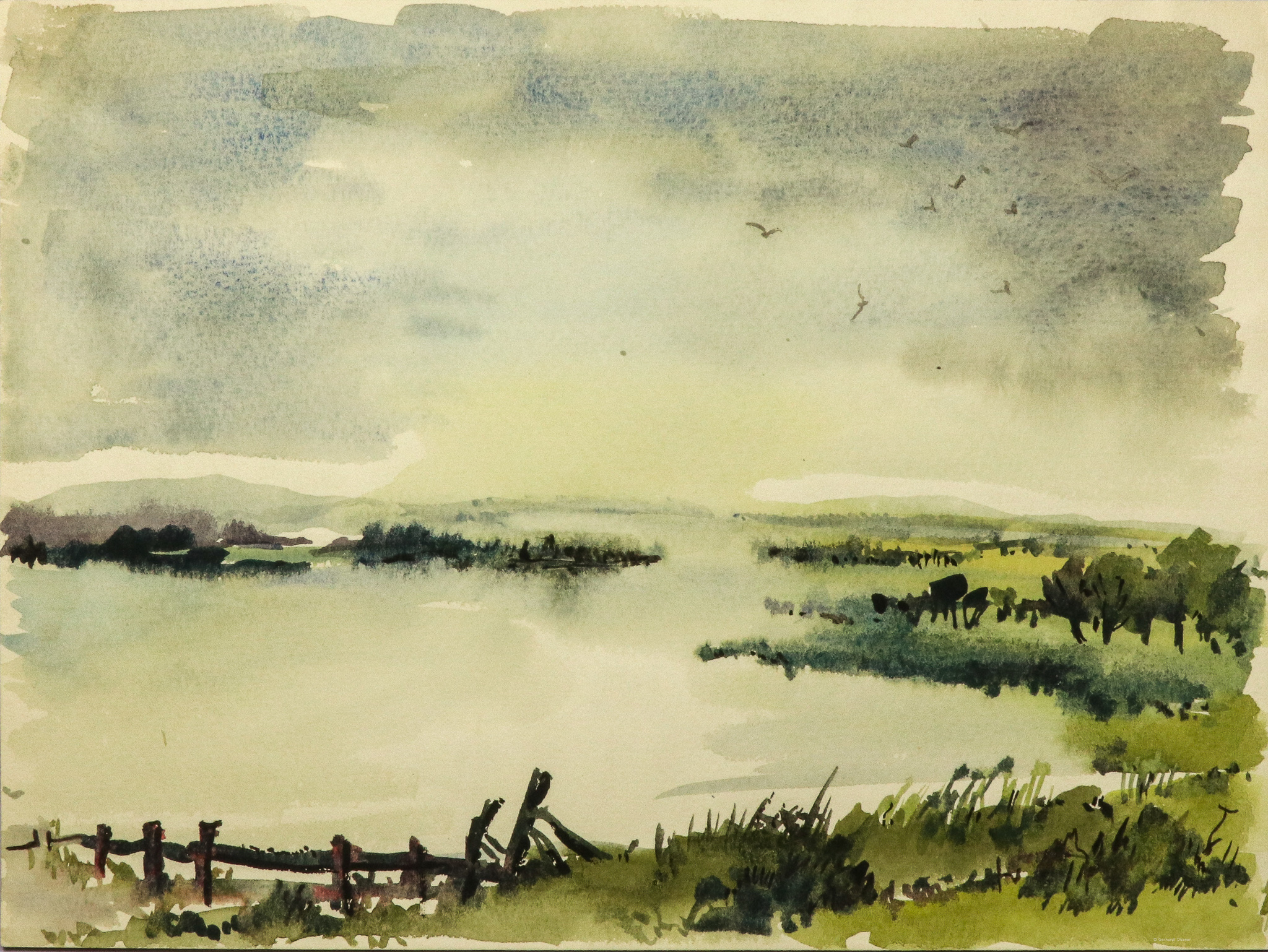 Seeufer im Regen